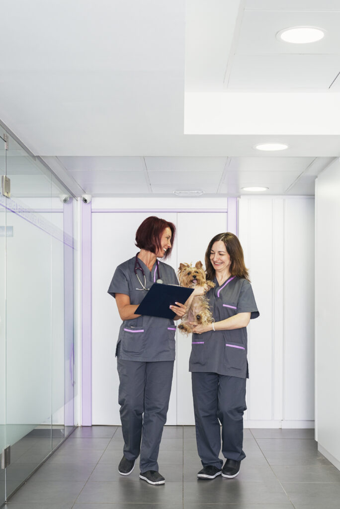 Agencia de Contratacion de Personal Veterinario