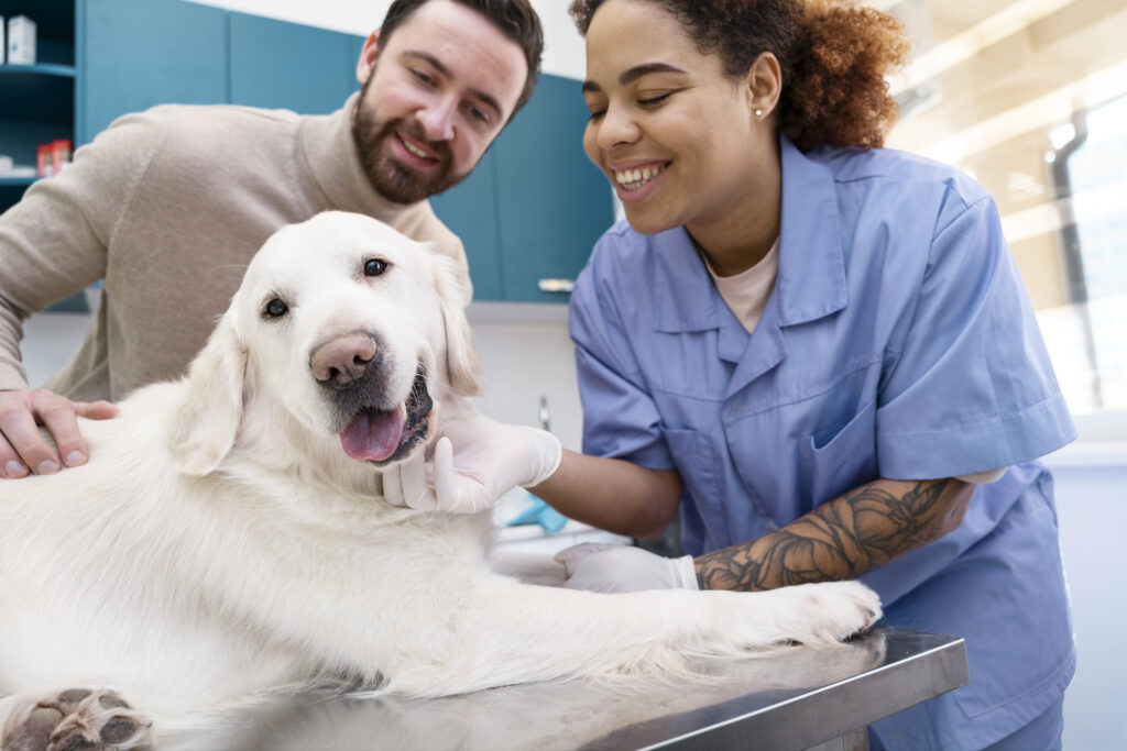Agencia de Contratacion de Personal Veterinario