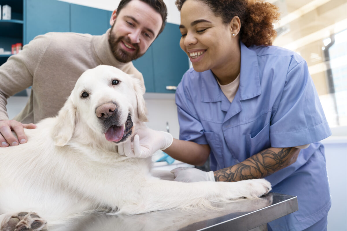 Consejos Clave para Triunfar en tu Entrevistacomo Veterinario
