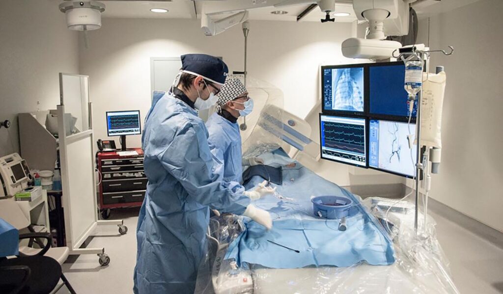 laboratorio veterinario