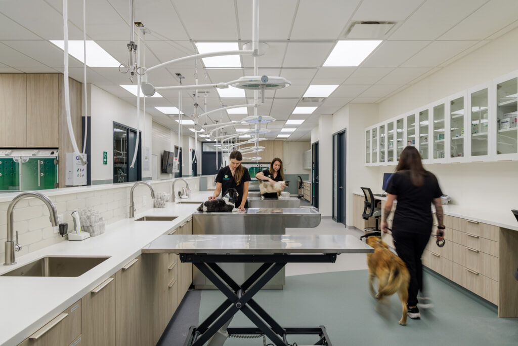 urgencia veterinaria