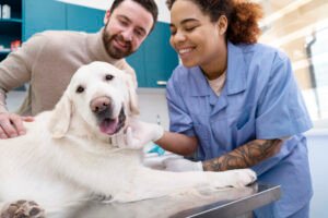 entrevista-veterinario