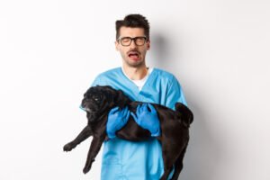 veterinario estres laboral burnout