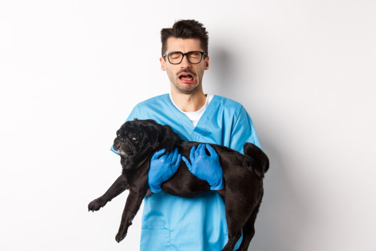 veterinario estres laboral burnout