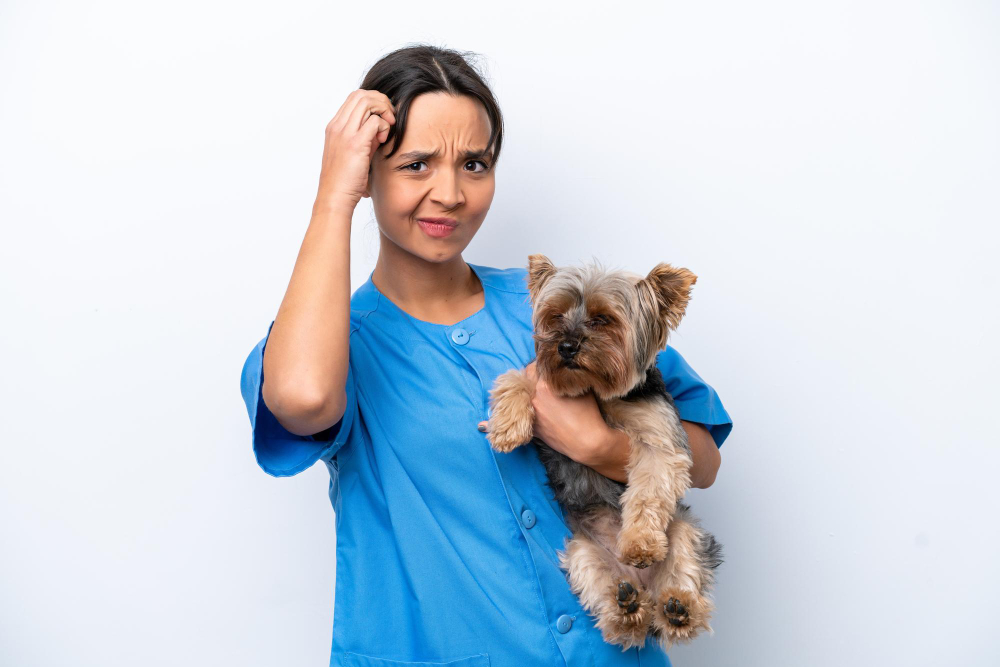 cuando cambiar de clinica veterinaria
