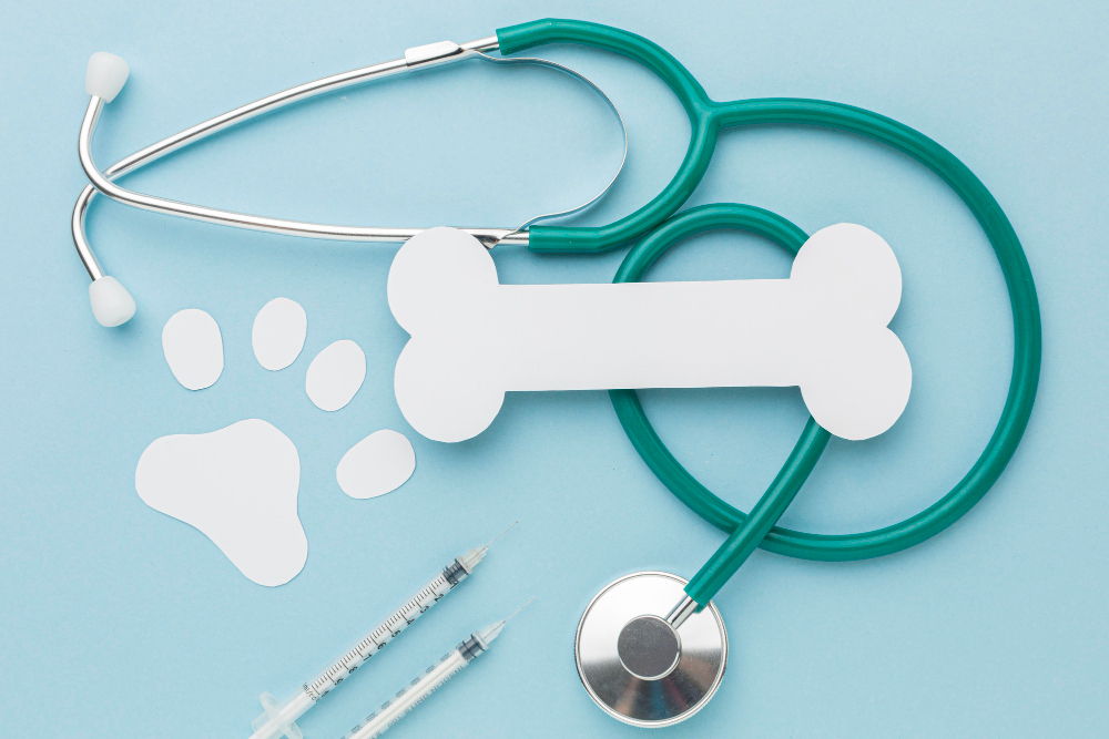 veterinario